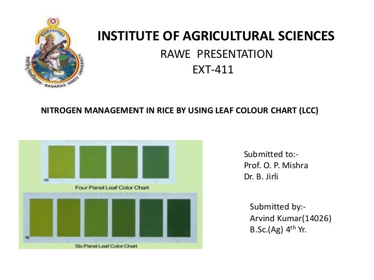 Fall Leaf Color Chart