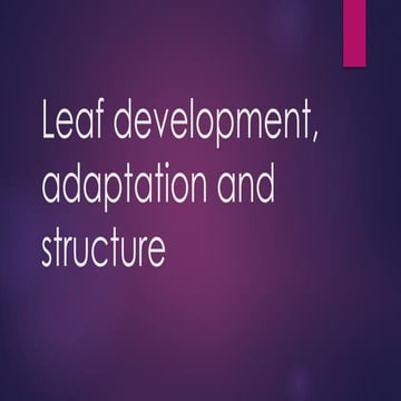 Structure and Function of Leaves | PPT