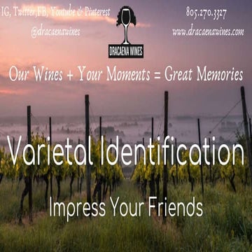 Grapevine Identification.pptx