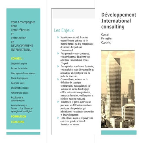 Leaflet developpement international consulting  2014