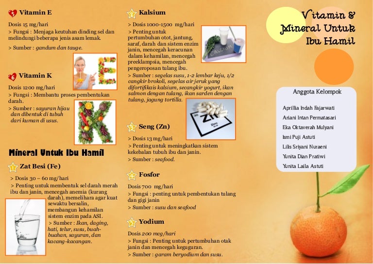 50 Makanan Sehat Untuk Ibu Hamil Hamil