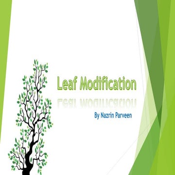 Leaf modification 