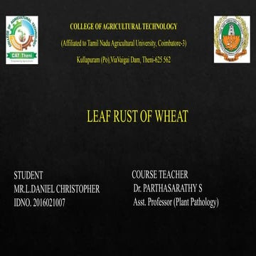 Leaf rust of wheat | PPTX