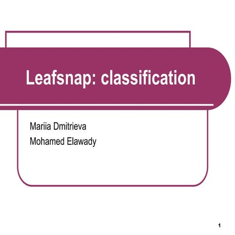 Leafsnap: classification