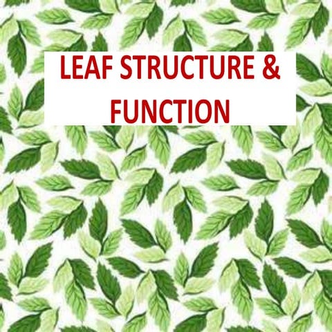 Leaf structure