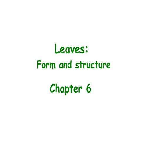 Leaf Structure plant botany biology bot1 | PPT
