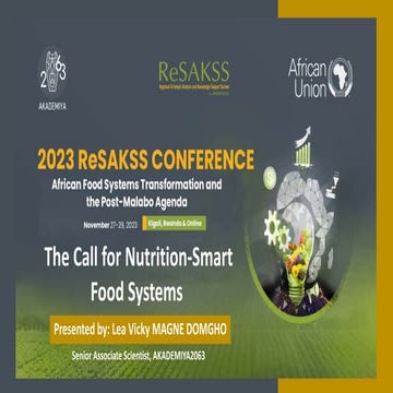 Lea Magne-Domgho - 2023 ReSAKSS Conference.pptx