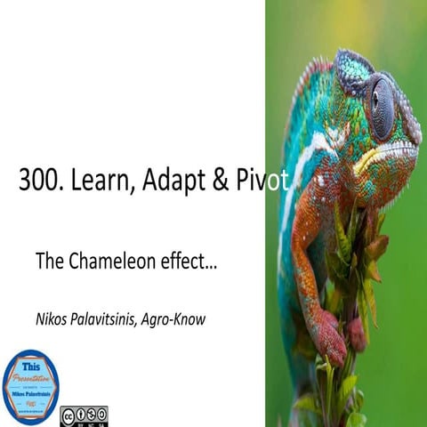 [Lean 101] Learn, Adapt & Pivot