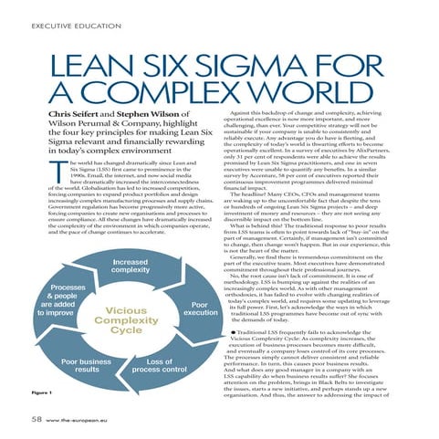 Lean Six Sigma For A Complex World