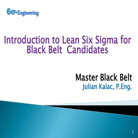 Lean  Six Sigma overview Julian Kalac