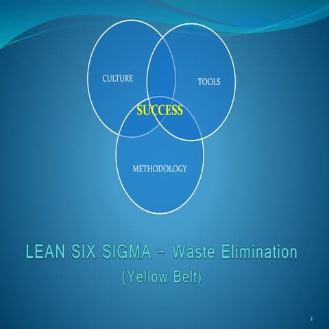 Lean six sigma - Waste elimination (Yellow Belt)