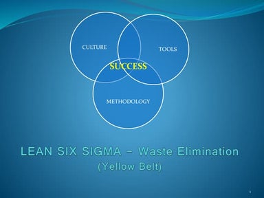Lean six sigma - Waste elimination (Yellow Belt)