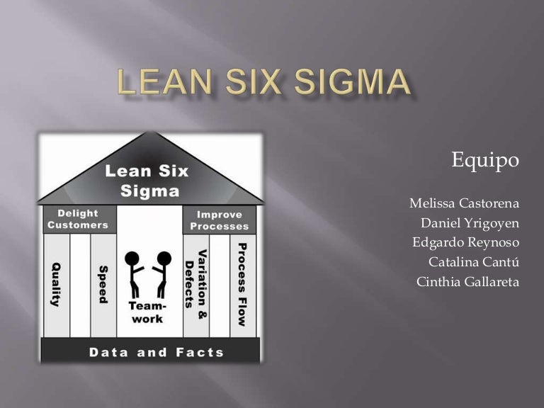 Lean 6 sigma principles - partnersbatman