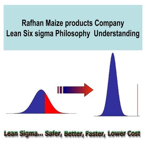 Lean Six Sigma Wastage