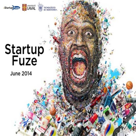 Startup Fuze: Lean Startup, Customer Development & Validation Process