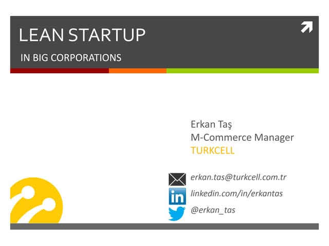 Lean Startup in Big Corporation