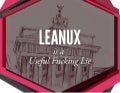 LeanUX is a Useful F*&king Lie
