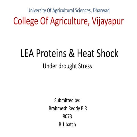 LEA(late embryogenesis abundant) protiens and heat shock