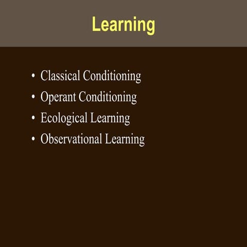 learn7Class.ppt