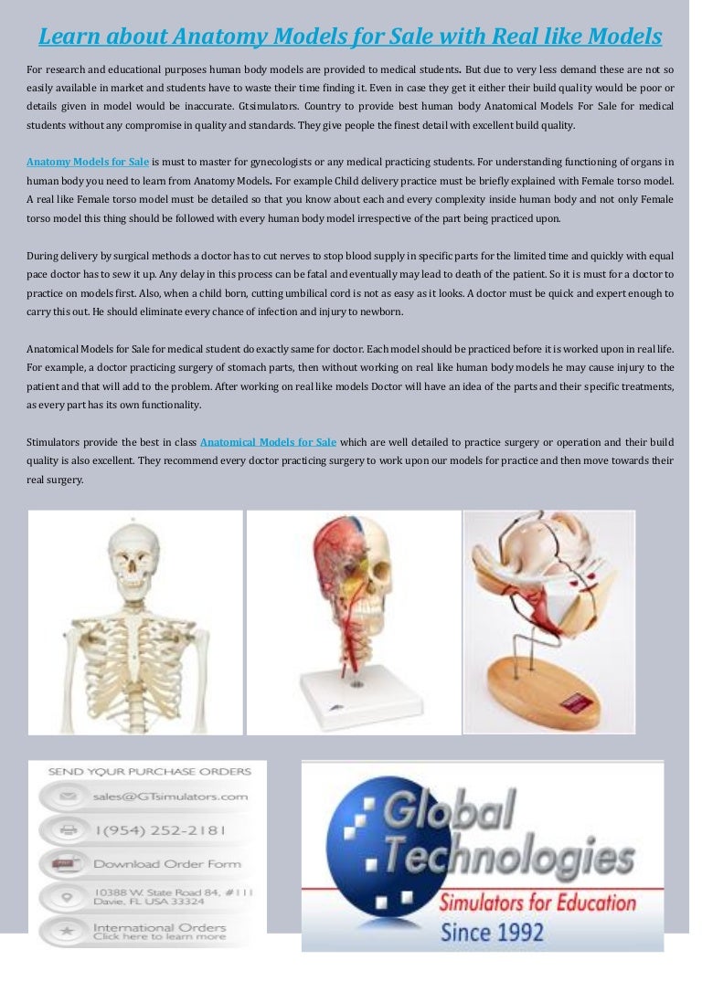 Anatomy Models For Sale