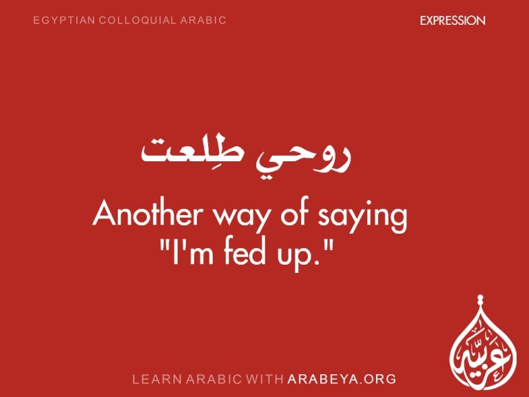 Learn common Egyptian Colloquial Arabic expreesions with Arabeya and