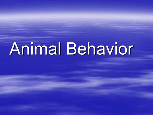 Learned Behaviors.ppt