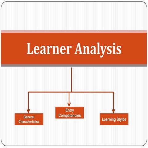 Learner Analysis