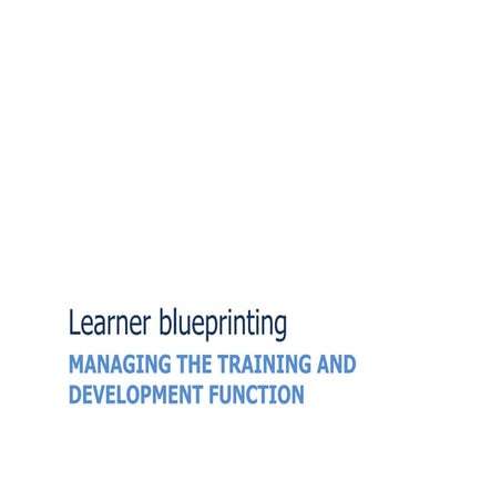 Learner blueprinting