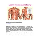 Learn Human Anatomy | Introduction to human body systems – MAMC