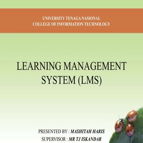 learning-management-system-lms for beginners