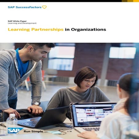 Learning Partnerships in Organizations