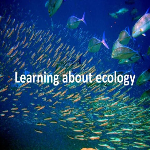 Learning about ecology | PPTX