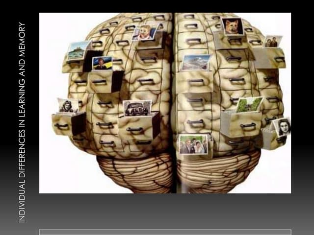 Learning And Memory Presentation