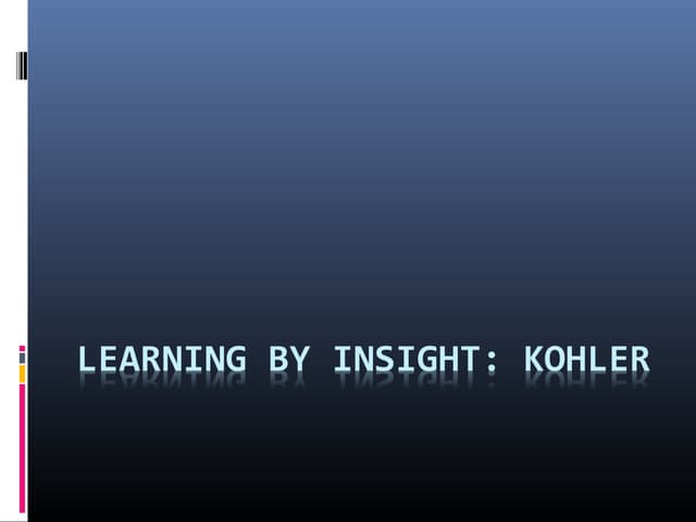 Learning by insight