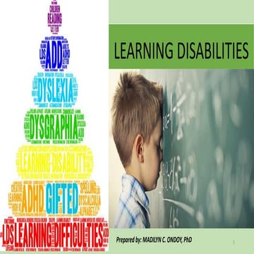 LEARNING DISABILITIES.pdf