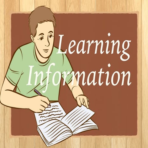 Learning Information