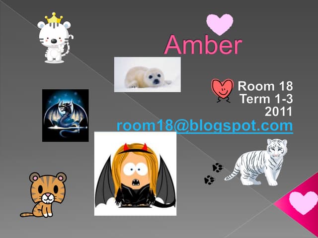 Learning journey amber2