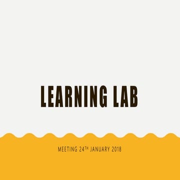Learning lab termly meeting 24th Jan 2018