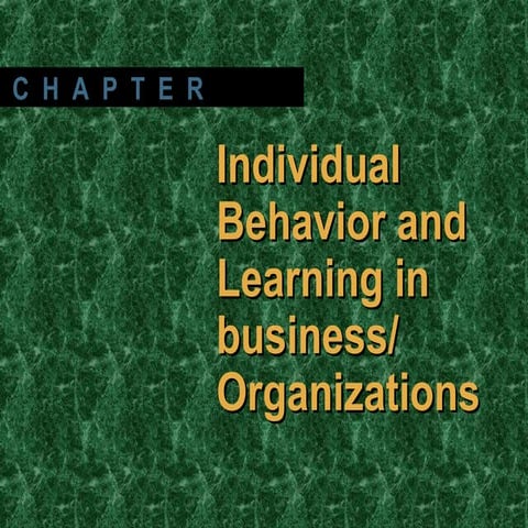 Individual Behavior and Learning in business/ Organizations