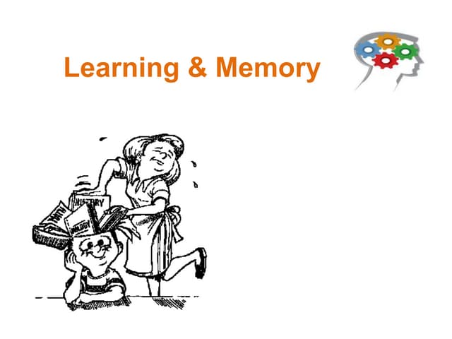 Memory Learning Perception Memory Learning Perception