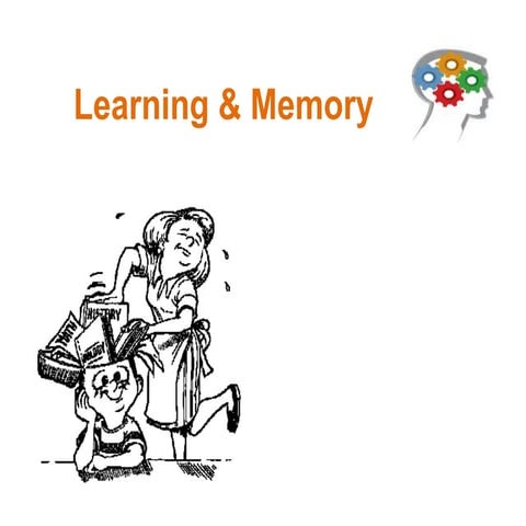 Neuroscience of Learning & memory