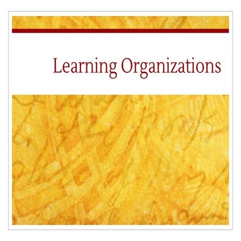 LEARNING ORGANIZATION, MEANING , TYPES, FEATURES