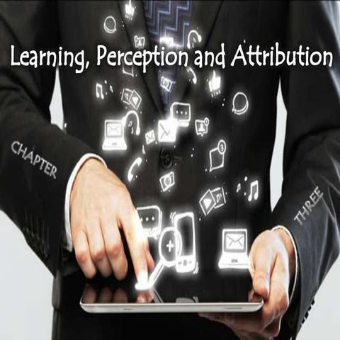 Learning, perception and attribution