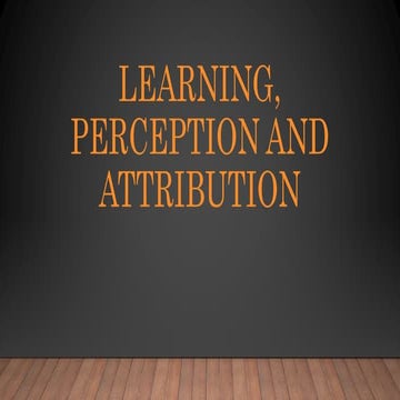 Learning, Perception and Attribution - report.pptx