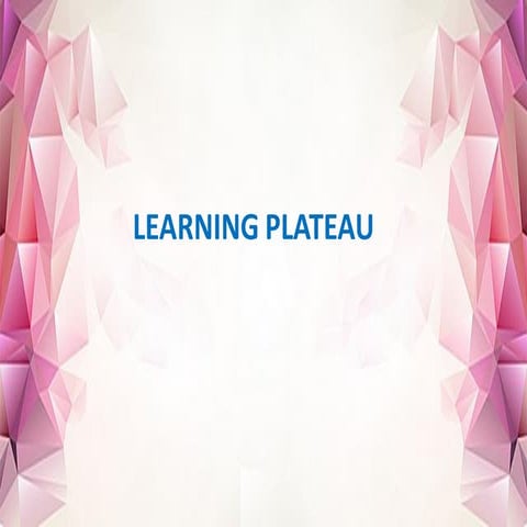 Learning plateau