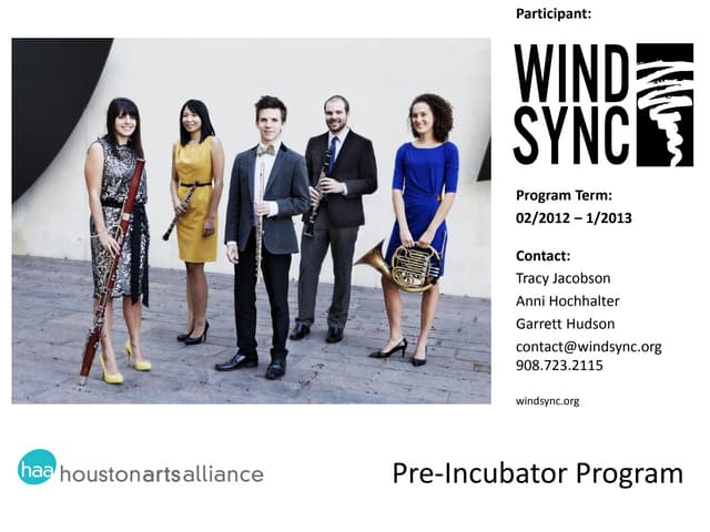 Learning Sessions #5 Pre Incubator - WindSync