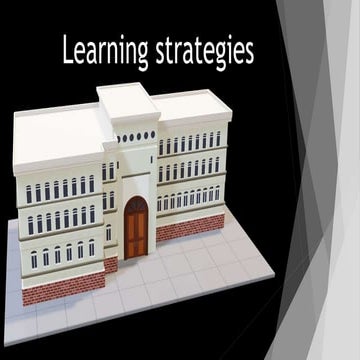 Summerizing of  Learning strategies.pptx