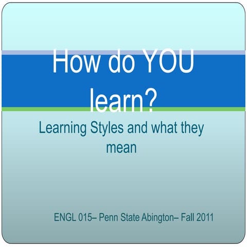 Learning styles 2011