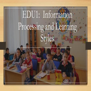 Information Processing and Learning Styles