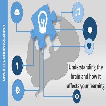 Exploring learning styles